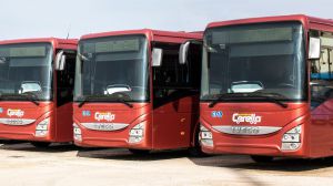 Cerella autoservizi