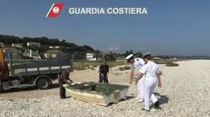 Guardia costiera