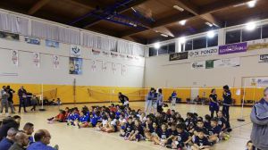 Circuito volley