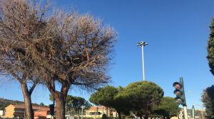 Vasto marina incrocio statale 16
