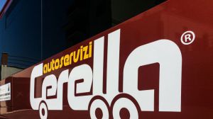 Cerella