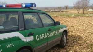 Carabinieri forestali