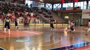 Vasto basket
