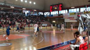 Vasto basket