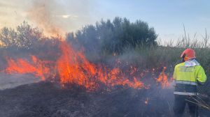 Incendio Lentella