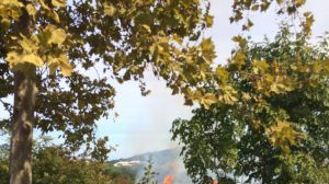 Incendio