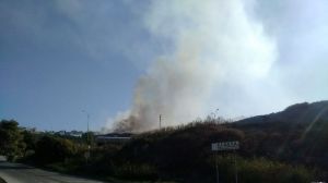 Incendio civeta