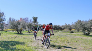 Trofeo accademia ventricina