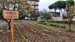 Orto sociale