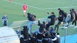 Tifosi