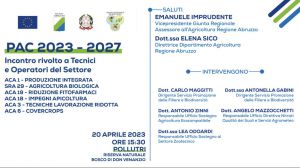 Locandina