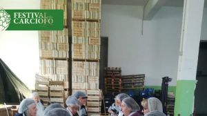 Festival del carciofo