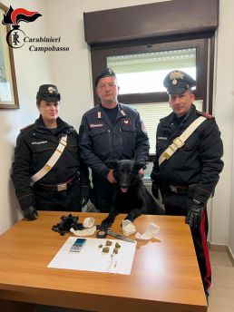 Carabinieri termoli arresto
