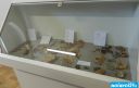 Mostra archeologica Tufillo