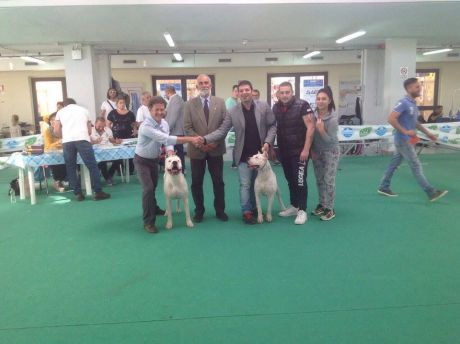 Guglielmo Turchi e cani
