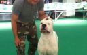 Guglielmo Turchi e cani