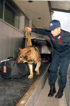Unità cinofila Carabinieri