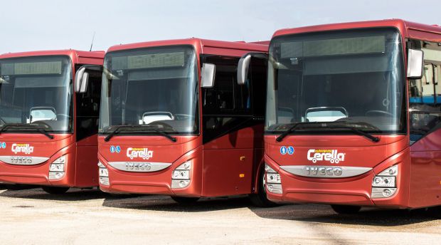 Cerella autoservizi