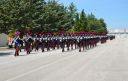 Festa cc 12