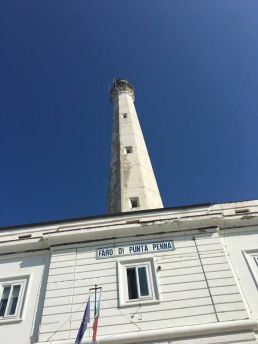 Faro punta penna
