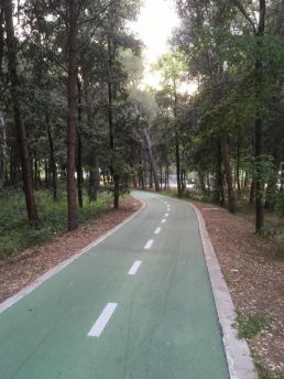 Pista ciclabile san salvo marina