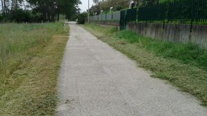 Pista ciclabile