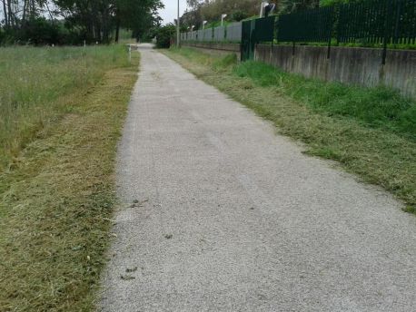 Pista ciclabile