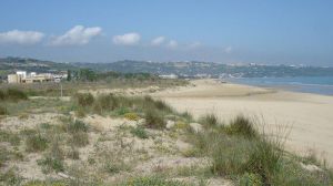 Dune