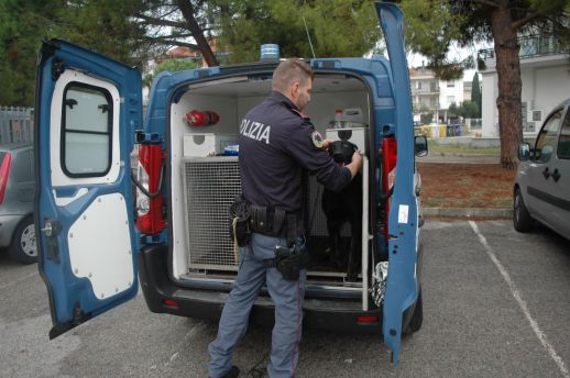 Unità cinofile