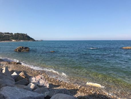 Mare vignola