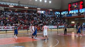 Vasto basket