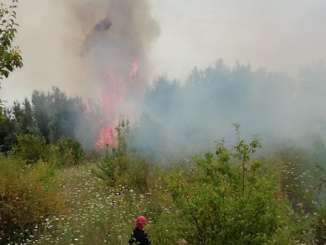 Incendio