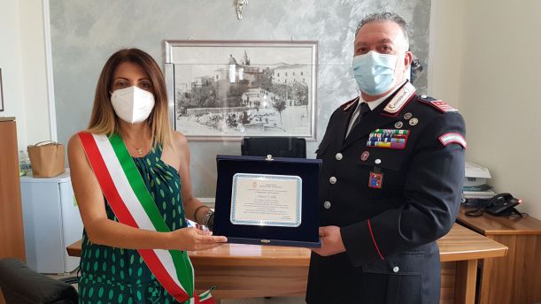 Contucci corbillo