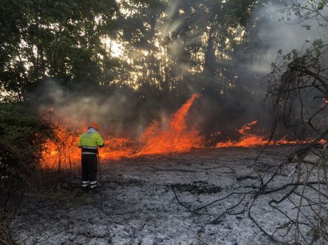 Incendio
