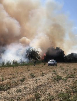 Incendio