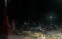 Vigili del fuoco e albero