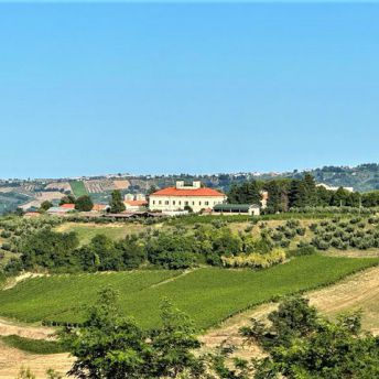Agrario Scerni