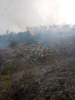 Incendio