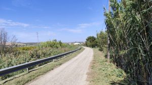 Strade poderali