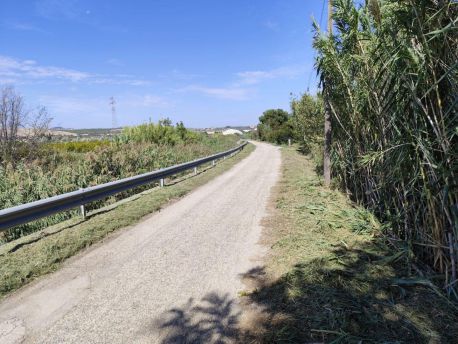 Strade poderali