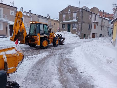 Neve Palmoli
