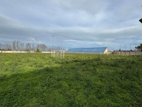 Stadio Bucci