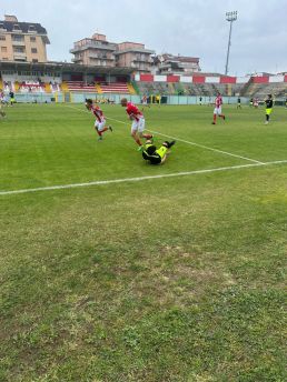 Pro vasto