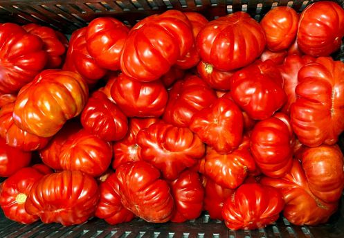 Mezzotempo pomodoro