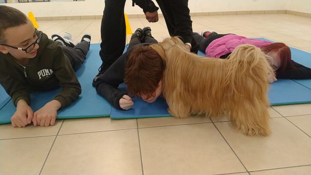 Pet Therapy