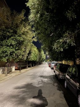 Alberi via Madonna delle Grazie