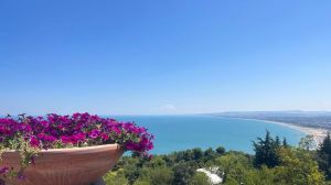 Golfo Vasto