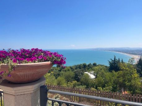 Golfo Vasto