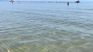 Mare