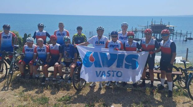 Avis vasto